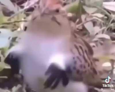 Updating drone software