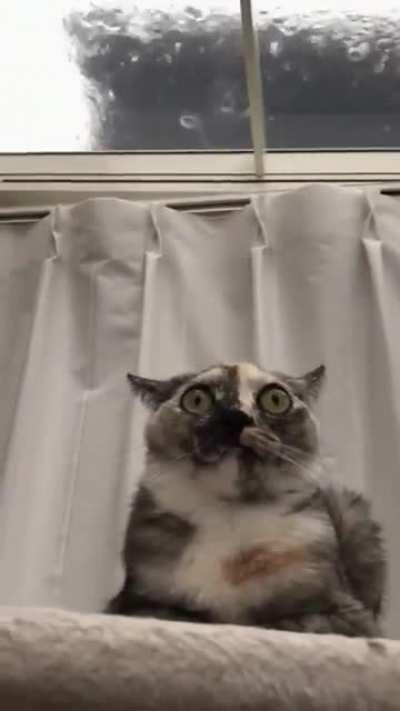 Shouldn't have tripped right before this storm!!