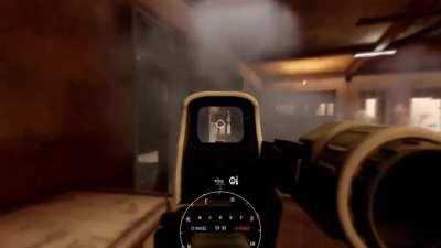 They were true insurgents