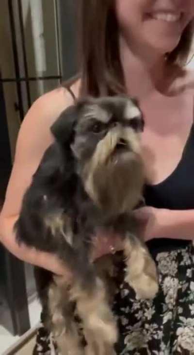 Wizard instructor demanding to know who cast polymorph on them