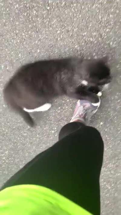 My wife tried to go for a run this morning