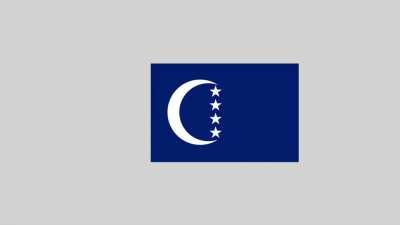 100 flags with the crescent at the same place