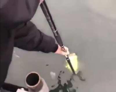 BrUtE FiShErMeN fUcKiNg HaRpOoN eNdaNgErEd AnImAl