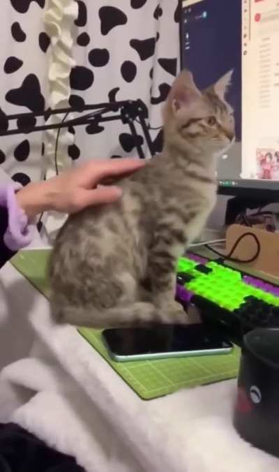 Unknown song i found from twitter/X