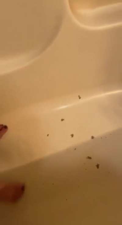 Instagram crush model