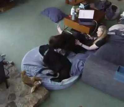 Be cautious about your expensive gadgets when kids and pets are around😬