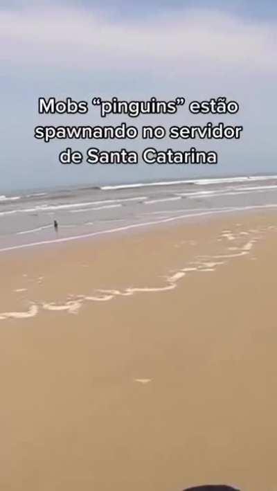 Estou ansioso para o patch que adicione o item 