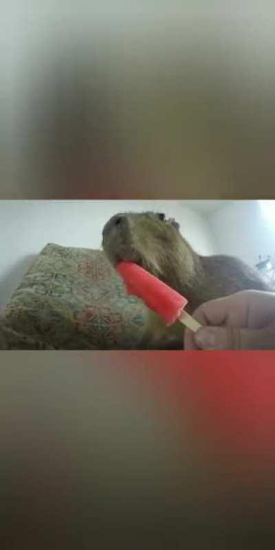 Happy Frecho fridayy 🥳🥰💜