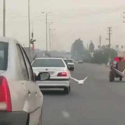 Just following one car