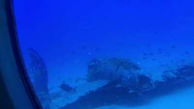 Sunken plane from my first submarine ride in Honolulu