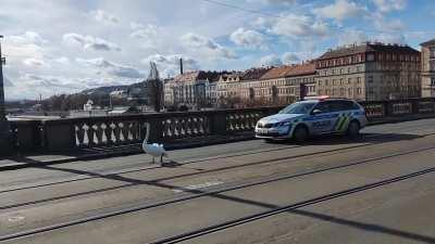 Protests are getting out of hand