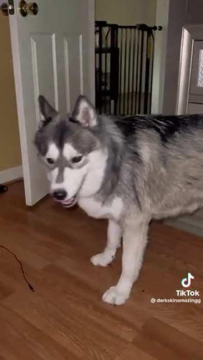 How many words did you hear? I heard about 6 