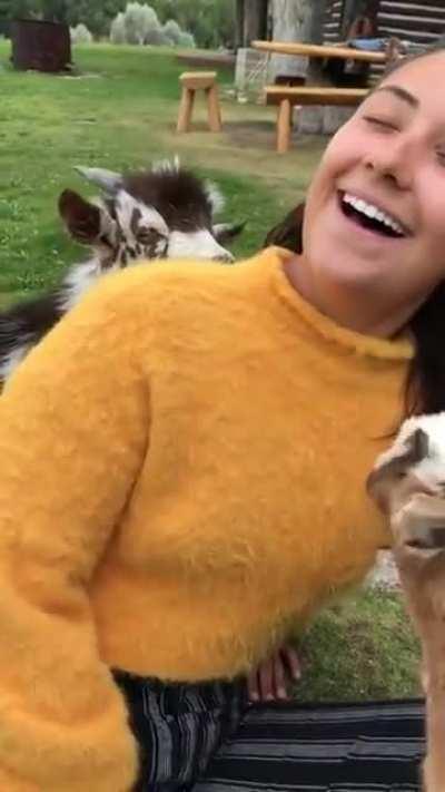 Забавная козочка