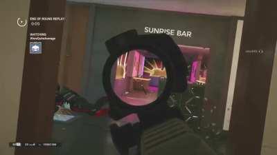 Vigil pretending to be a penguin