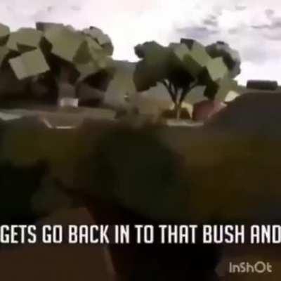 So we back in Vietnam