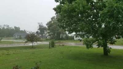 Just got a huge storm earlier today with winds over 80 mph. A big part of the state is without power, and it caused tons of trees to fall everywhere. At least three big pine trees snapped in my back yard.