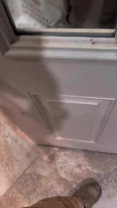 Skin Walker or whttt???