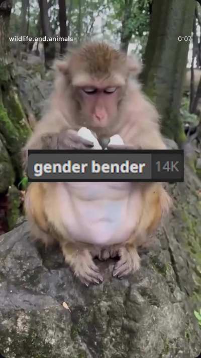 not to be a baka but I prefer male men over female men