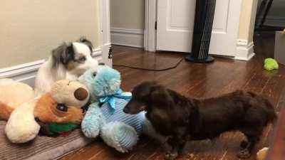 Was Told This Might Belong Here