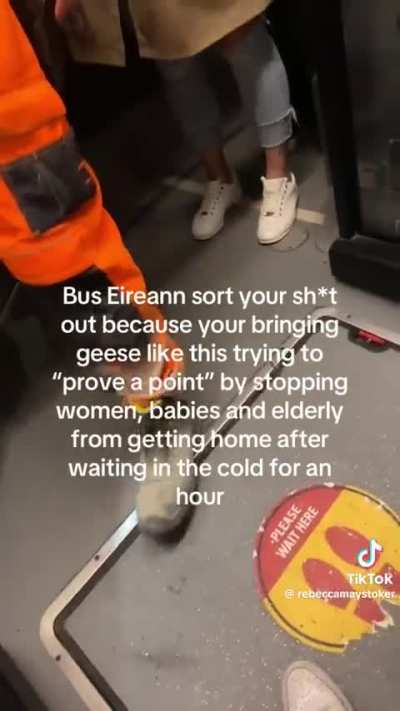 Man holds up the 205 bus because the 203 doesn’t show😳