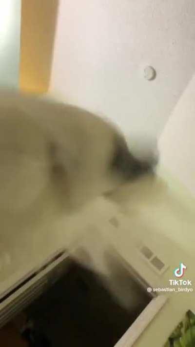 idek how to caption this