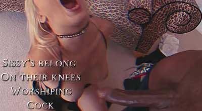 Know your place sissy🙄