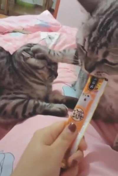 Someone's not big into sharing...