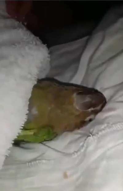 Let me Sleep in peace!!