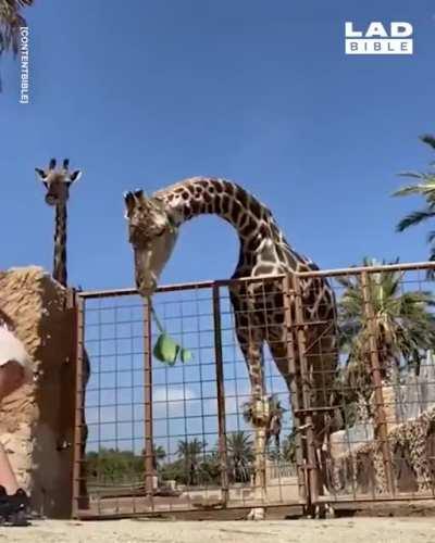 Never wanna give you up