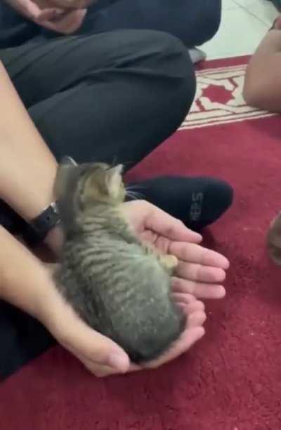 I think, it's ok here