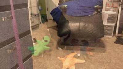 Harpo works so hard.