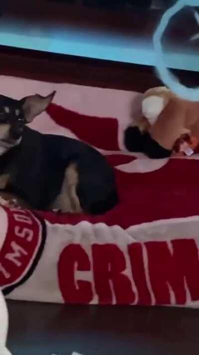 The promised Neverland