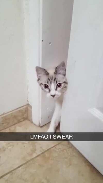 heeeeeeeeere's johnny!