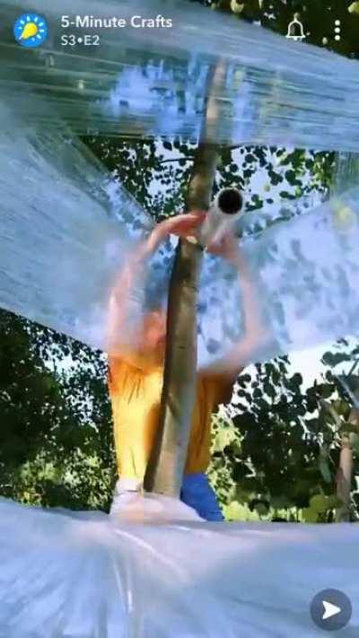 Don’t worry! There was no harm done to the trees!