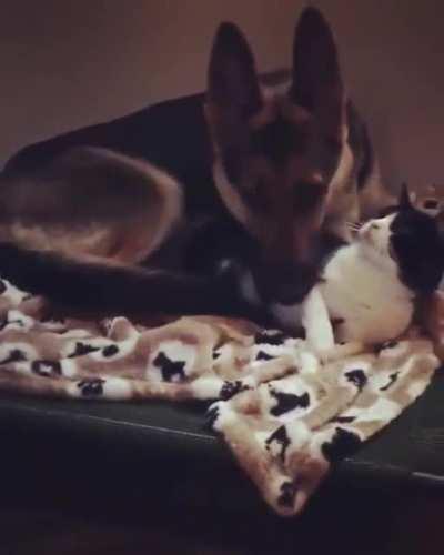 Always nice to have a cuddle!