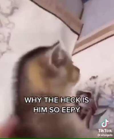 WHY THE FUCK IS HE DO EEPY