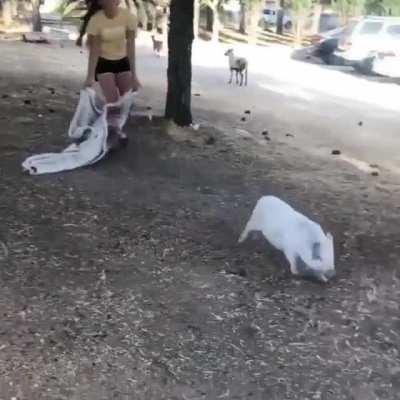 Emmett and his love of blankies