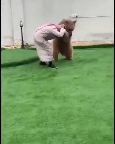 Pet bear
