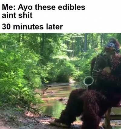 Lol. Original video: @realsaxsquatch