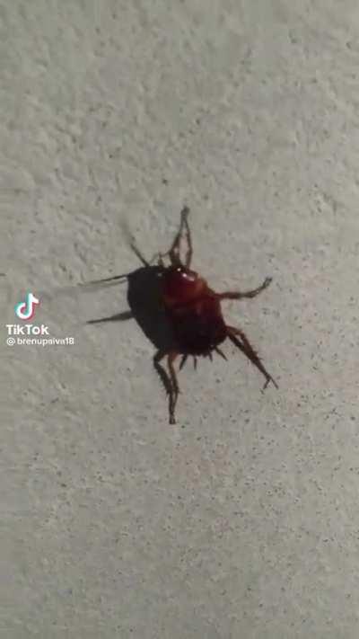 Can't stop watching 😭😭😭