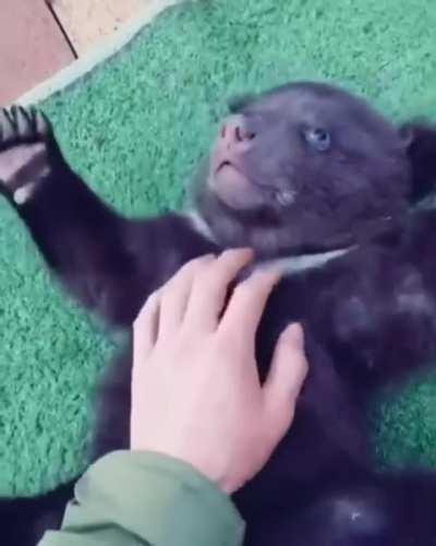 Giving the baby belly rubs.