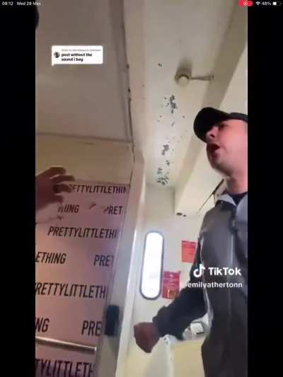 No flight, only fight