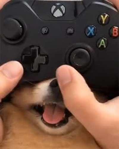 Cyberpup controller: +85 bark power in any game