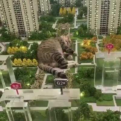 Thankfully, Catzilla got tired of destroying the city and took a catnap.