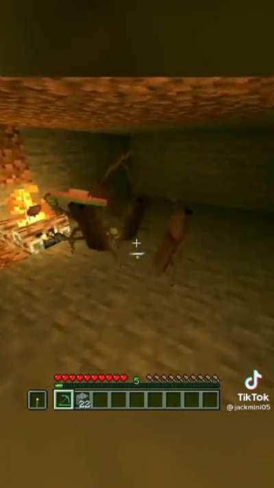 Broöthers it's minecraft time