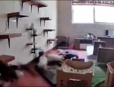 Glad they kept their cool.