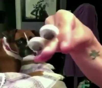 What that hell is that?