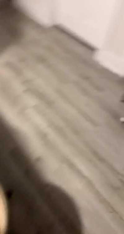 No remorse & still waiting at the panty for his dinner