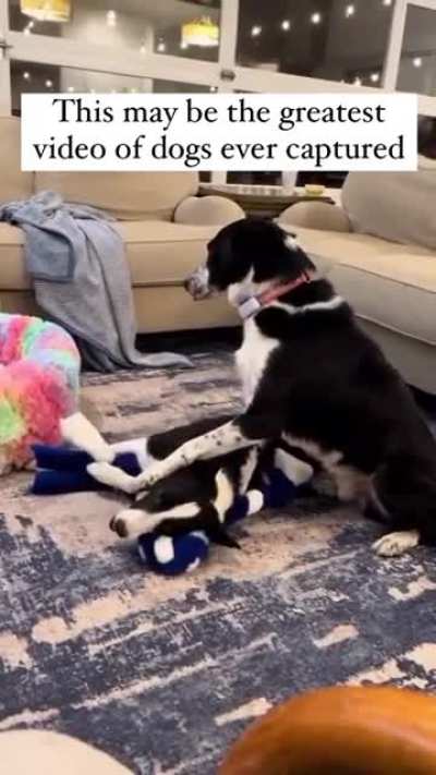 Honestly, this is an absolute gem. - -sostarbcs video.