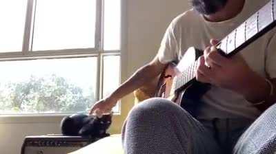 A cat singing the blues.